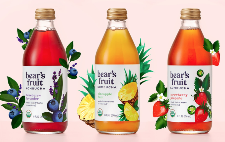 Best Kombucha Brands For A Healthier You - Something Swanky